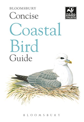 Concise Coastal Bird Guide (Concise Guides)