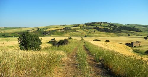 Abruzzo: Via del Tratturo e trekking invernali in Maiella