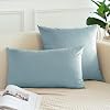 OTOSTAR Pack of 2 Velvet Soft Solid Decorative Throw Pillow