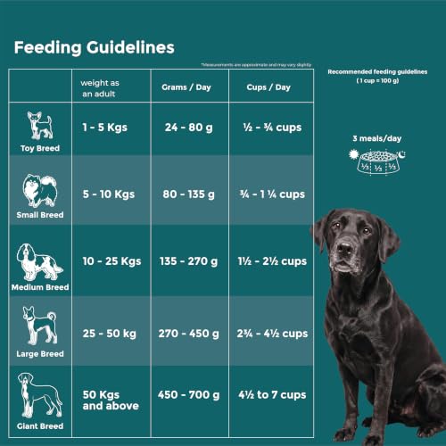 Image of Fidele+ Senior Dog Food | 2.7kg | Real Chicken with Turmeric & Coconut Oil | Joint Support | Easy Digestion | Strong Immunity | No Wheat & Soy