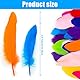 JNWYH 150 Stk Federn, Natürliche Bunte Feder für Zuhause,Halloween,Karneval,Party,Hochzeiten Dekoration,Traumfänger Basteln,DIY Kopfschmucks(15-20cm)
