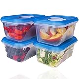 Wüllner & Kaiser Gefrierdosen 4er Set 750 ml, Frischhaltedosen mit Deckel, ideal zum Einfrieren, vielfältig verwendbar