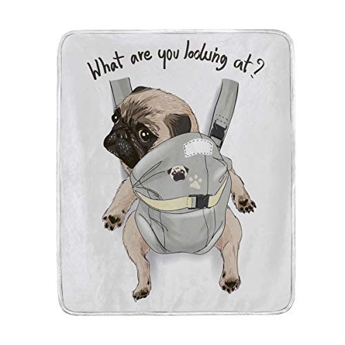 }LNiMAKIKUj Ђ| uPbg pO   ӂӂ 唻 ѕz Q킹 }CNt@Co[ 􂦂 M ۉ 130150