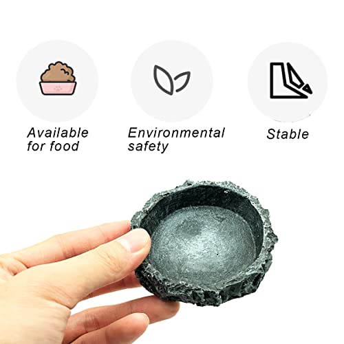 FRCOLOR Lot De 20 Boîtes à Eau Pour Reptiles - Pour Gecko à Crête - Tasses D'alimentation En Terraium - Gamelle Compacte Pour Reptile - Mangeoire à Eau Multifonction En Plastique