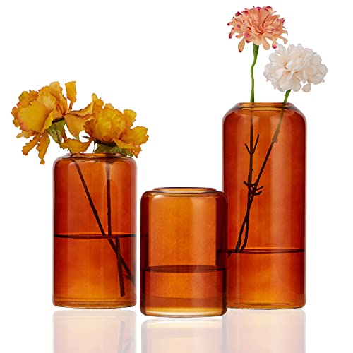 Omaggio Vase The 16 best products compared Product guide The