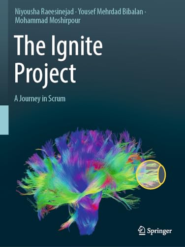 The Ignite Project - Niyousha Raeesinejad Yousef Mehrdad Bibalan Mohammad Moshirpour Kartoniert (TB)