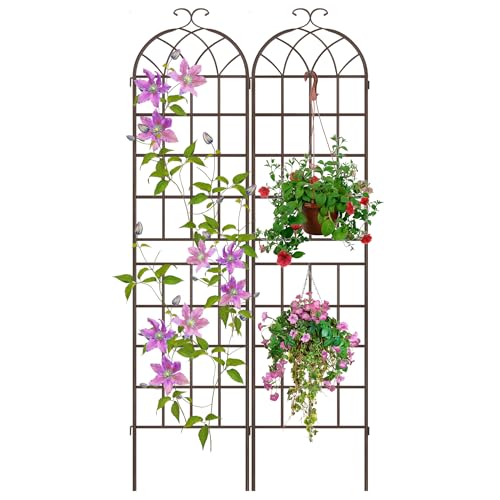 Image of LZRS 2 Pack 83x20in Rustic Iron Arch Decoration Garden Trellis with Metal Coating - Perfect for Supporting Climbing Plants Outdoor, Roses, Vines, Flowers, and Vegetables, Brown