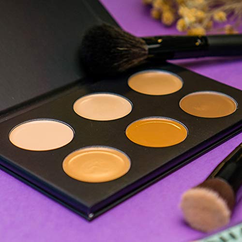 Shany Foundation/Cream Contour & Highlighting Palette - Layer 1 - Refill For The 6 Layer Mini Masterpiece Collection Makeup Set #TOP7