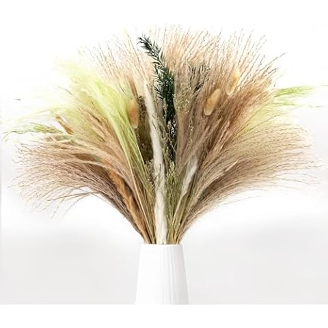 N&T NIETING 85 Pcs Green Dried Pampas Grass-White Pompas Grass, Brown Pampass Grass, Green Pompas, Reed Grass, Valentine Grass, Bunny Tails Dried Fowers for Home Wedding Boho Decor(18 Inch) Cover