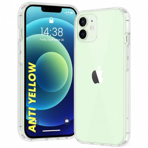Image of DIZORO Crystal Clear Back Case Cover for iPhone 11 Non Yellowing Transparent Cover |Hard Back Cover Clear Case for iPhone 11 with Anti-Yellow (PC, Transparent)