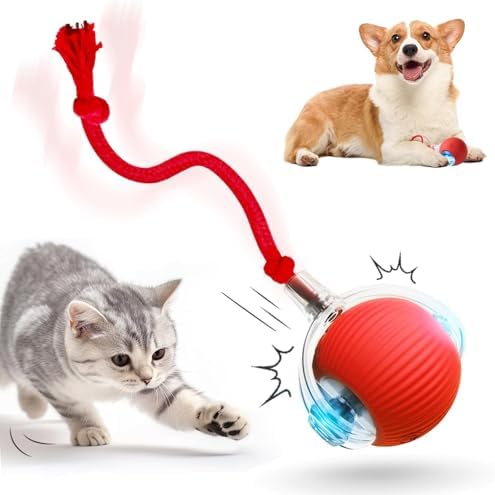 HOIDOKLY 2025 New Interactive Cat Toy, Pet Toy, Dog Toy with USB ...