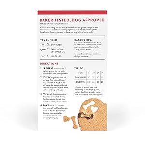 King Arthur Baking Firm Canine Biscuit Combine, Beef Bone Broth & Carrot, Selfmade Canine Treats, 12oz