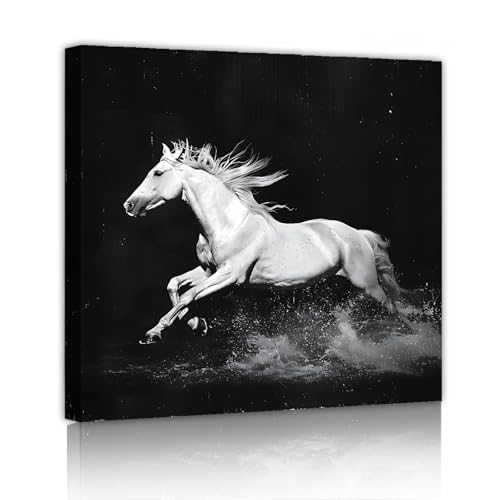 Affiche cheval blanc courant 50x50cm pour créer une ambiance zen dans votre salon ou café