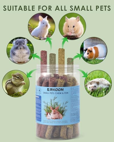 Jouets à mâcher pour lapins ERKOON pour éviter les morsures de cage - 7