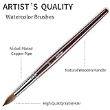 Kolinsky Sable Watercolor Brushes - 9pcs Round Pointed Tip Artist Detail Sable Paint Brushes for Watercolor Acrylics Inks Gouache Tempera Painting