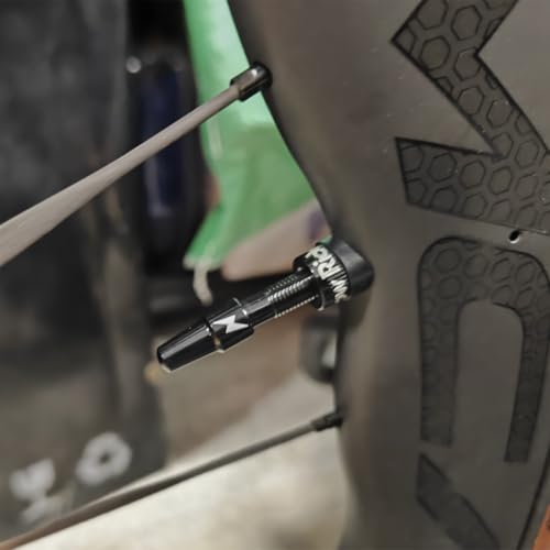 Bibike Ridenow Tubeless Valves 45mm/65mm/85mm Presta Valve Stem with Valve Core Removal Tool