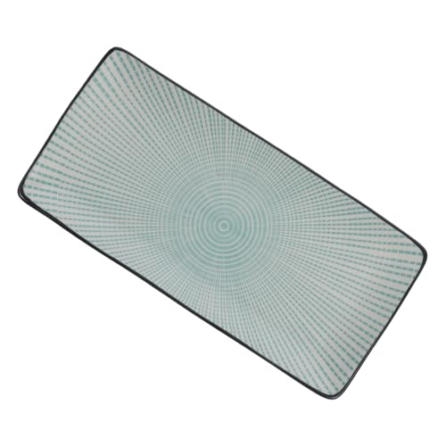 Plato Rectangular de Cerámica para Sushi Ciieeo miniatura 1