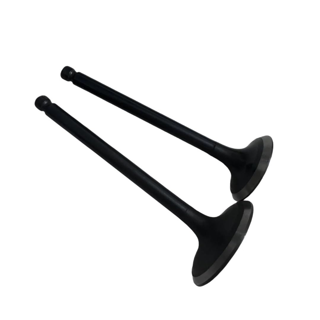 Gruppo valvola di aspirazione e scarico Valvola di scarico e aspirazione Protezione olio 400cc 500cc HS400ATV UTV HS500ATV UTV 14711-002-0000 14721-002-0000 parti di motociclette