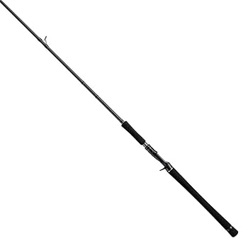 Beecas 100H ビーキャス テイルウォーク テイルウォーク(tailwalk) ビーキャス 80MH ☆激安処分品 その他