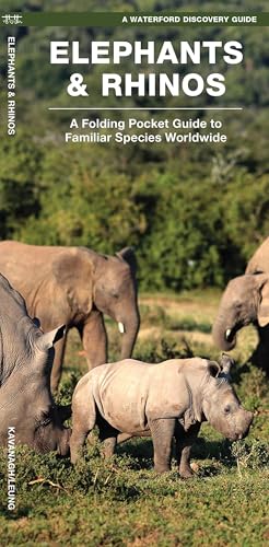 Elephants & Rhinos (Discovery)