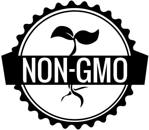 Miniatura 8 de Gaea's Blessing Semillas de pepino Spacemaster (0.07 oz) Semillas sin OMG con instrucciones de plantación fáciles de seguir (idioma español no