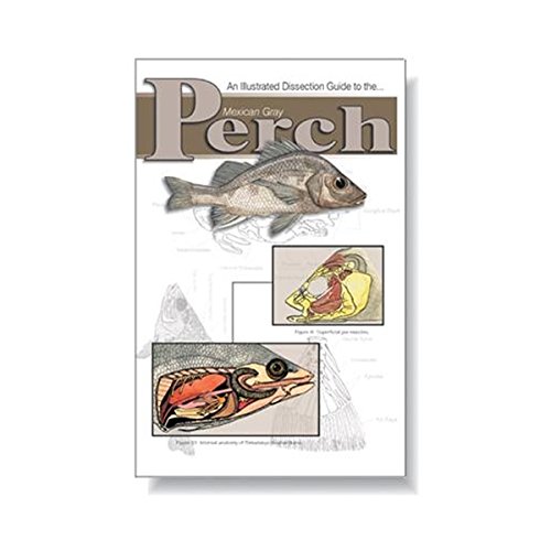 Image of Ranaco W4R5307 Dissection Guide Mexperch,Grade: 1 to 12, 0.12 inch Height, 5.62 inch Wide, 8.5 inch Length