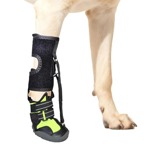 Drops Foot Brace with Reel(Not Knuckling Boot Brace) for Dog Corrective Dogs Shoes to Safely Lift Toes for Foot Issue None Knuck