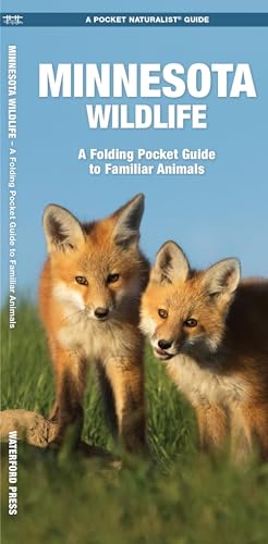 Minnesota Wildlife (Nature Observation North America)