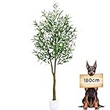AcryStelith 180cm Olivenbaum, Olivenbaum Künstlich, Perfekte Große Pflanzen im...