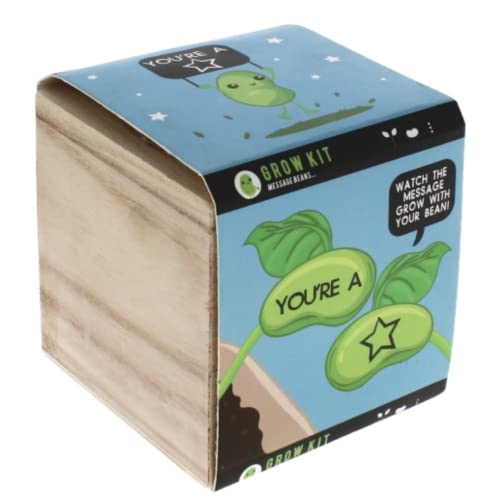 Panda Loco GROW A BEAN STAR ! - Grow Your Own Lucky Star Bean Plant Novelty Joke Xmas Gift