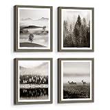Framed Landscape Wall Art Bedroom: Modern Foggy Forest Picture Bathroom Living Room Black Pine Tree