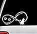 B1102 Infinity Cat Decal Sticker