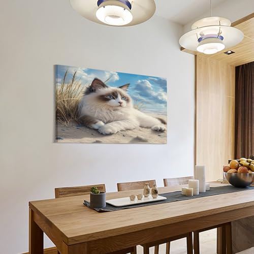 Ragdoll chat impression sur toile affiche decoration murale 50x75