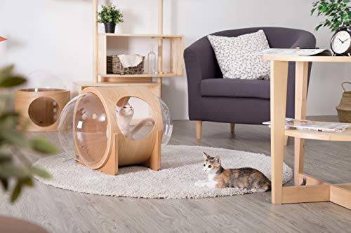 Myzoo Spaceship Alpha, Warm And Cozy Pet Bed For Cat & Dog, Designed Furniture, Made Of Wood (Oak) #TOP5