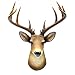 Wall Mount Mule Deer Shoulder Bust/Fake Taxidermy Buck Head Man Cave/Cabin Decor