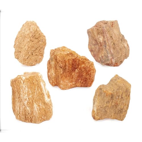 `󂨔C ؖ rTCYiW`PRj T ANAE CAEgf