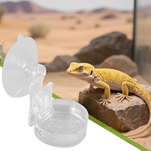 Chamäleon Futternapf für Haustiere, Reptilien, mit Saugnapf, leicht zu reinigendes Tablett für Wohnzimmer, Garten, Balkon, Haustierhaltung-3