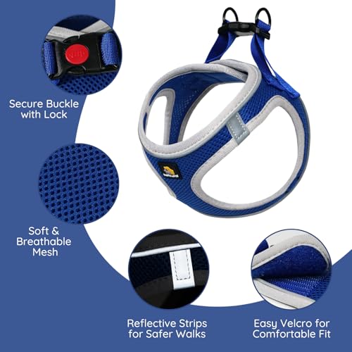 BELLA & PAL Step in Vest Harness for Small and Medium Dogs, No Pull Small Dog Harness with Leash Set, Comfortable Air Mesh Dog Vest Harness with Reflective Strip (Sapphire(Round Rope), S) by BELLA & PAL - Image 2