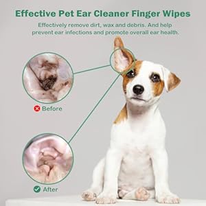 Cutebone Pet Ear Finger Wipes 70 Count  Gentle and Effective Ear Cleaning Wipes for Dogs and Cats Removes Wax Dirt and Odor Prevents Ear Infections Natural Ingredients Safe and Easy to Use  Cucciolini Doodles Cutebone pet ear finger wipes 70 count  gentle and effective ear cleaning wipes for dogs and cats removes wax dirt and odor prevents ear infections natural ingredients safe and easy to use   cucciolini doodles