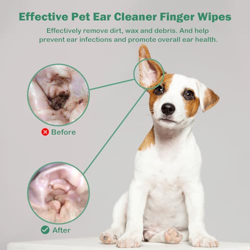 Cutebone Pet Ear Finger Wipes 70 Count  Gentle and Effective Ear Cleaning Wipes for Dogs and Cats Removes Wax Dirt and Odor Prevents Ear Infections Natural Ingredients Safe and Easy to Use  Cucciolini Doodles Cutebone pet ear finger wipes 70 count  gentle and effective ear cleaning wipes for dogs and cats removes wax dirt and odor prevents ear infections natural ingredients safe and easy to use   cucciolini doodles