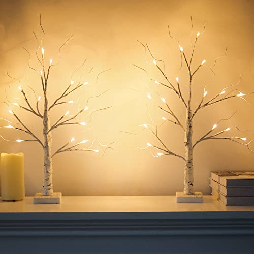 Hogardeck 2Ft 18Lt Led Lighted Birch Tree, Set Of 2 24 Inch White Money Artificial Tree For Christmas Decorations Indoor, Battery Powered Timer Party Home Wedding Mantle Table Top Centerpieces Decor #TOP4