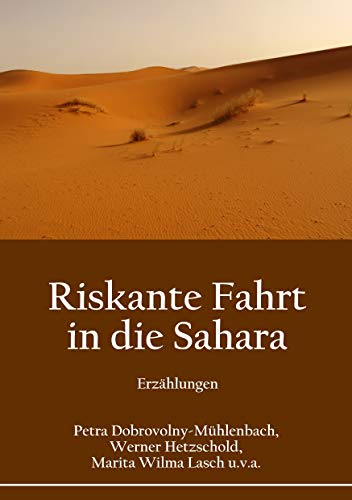 Riskante Fahrt in die Sahara: Erzählungen (German Edition)