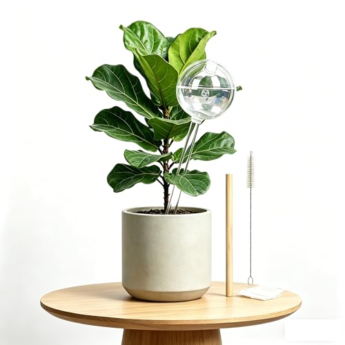 4PC Iridescent Self Watering Globes, Large Capacity Glass Rainbow Plant