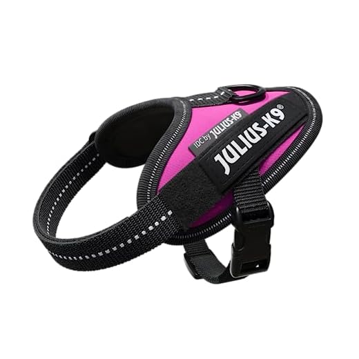 Dociote Hundegeschirr Set mit Leine für kleine Hunde - Brustgeschirr ausbruchsicheres Katzengeschirr Welpengeschirr Step-In Geschirr für kleine Hunde, Welpen, Katzen XS Grau 8 Julius-K9, IDC Powergeschirr, Größe: 3XS / Baby 1, Dunkelpink