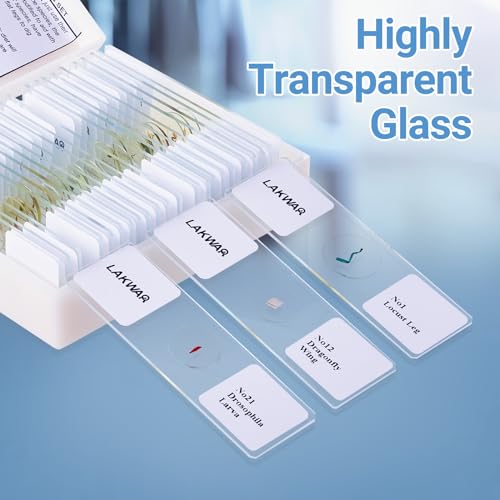 25 Insect Microscope Slides with Specimens for Kids Adults, Prepared Insect Microscope Slides Kit, Prepared Insect Glass Slides for Adults Kids