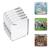 20 Stück Kühlschrankmagnet Set 5x5 cm Fotomagnete aus Acryl zum Selbst Gestalten, DIY Kühlschrankmagnete für Fotos, Magnete Basteln & Selber Machen mit Nanopads für Büro, Küche & Dekoration