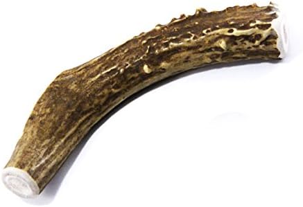 Deer Antler Dog Chew - Large Whole Deer Antler