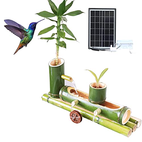 Machine à pomper solaire en bambou contre l'eau stagnante du jardin