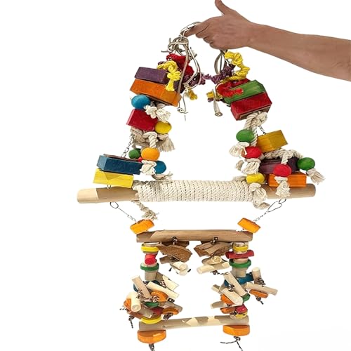 ^pVRؐIEAAtJO[RSECRIEp}`J[̉a`[A݂艺P[WvCANZT[(C)