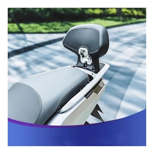 Dossier confortable passager arrière NWG150 accessoires